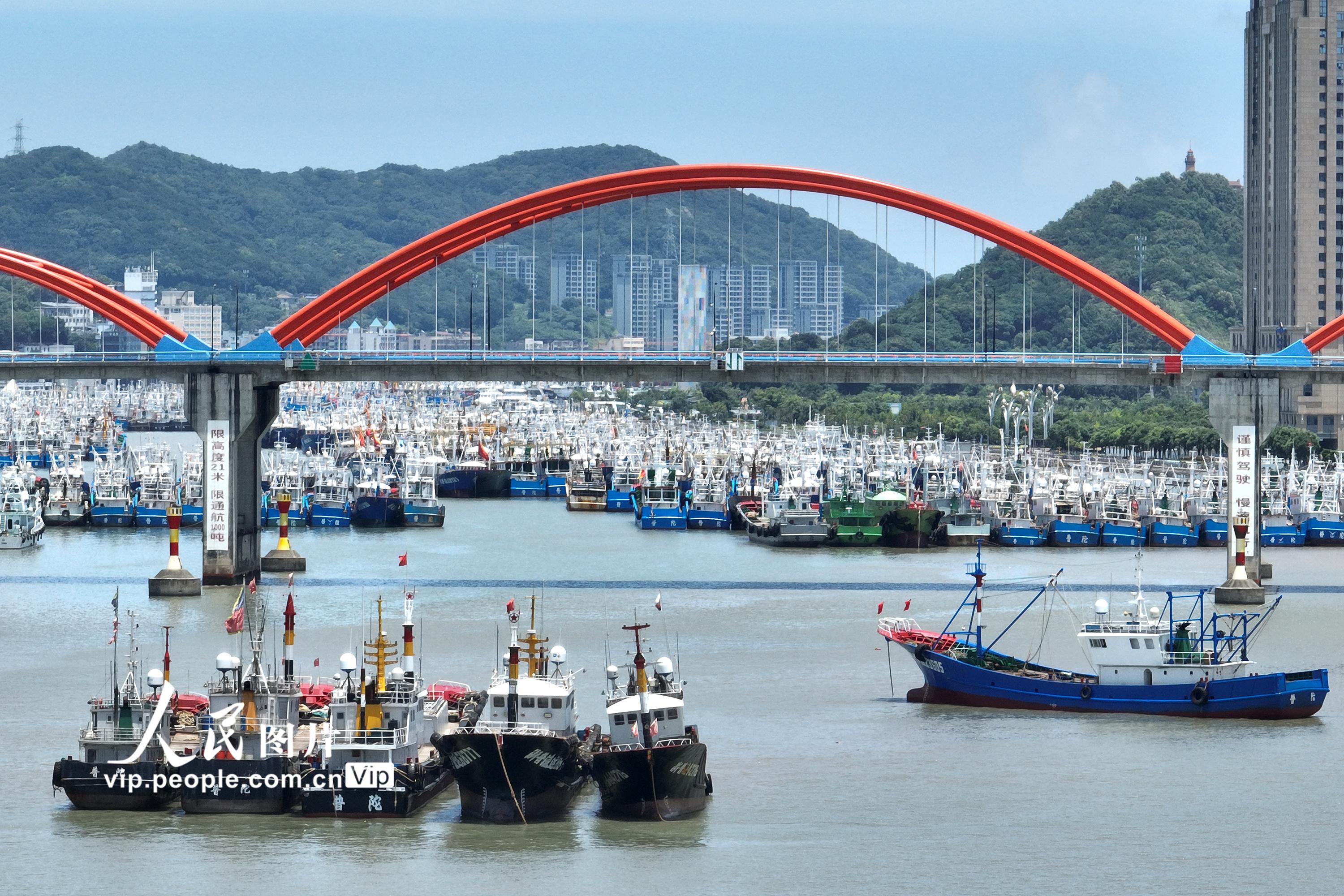 浙江舟山：渔船在港避台风“艾利”【2】