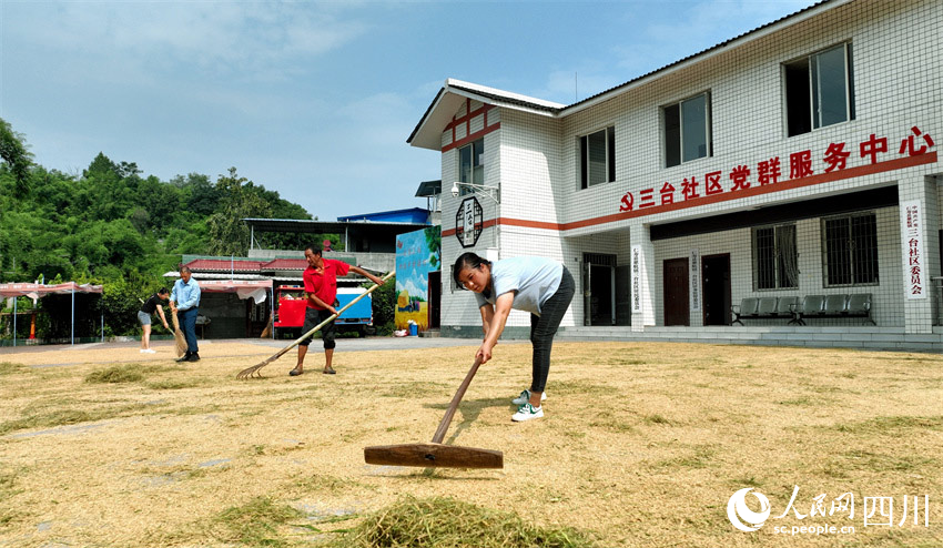 村委大院来晒粮。潘建勇摄